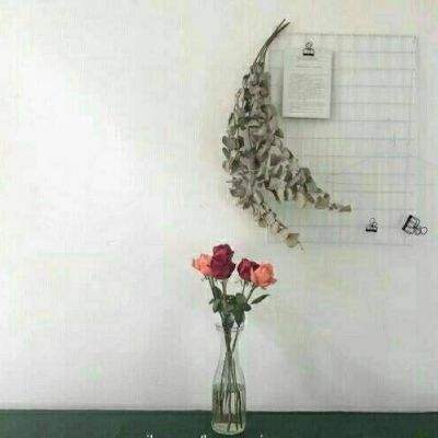 九九玩手游破解版下载